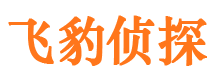 湖北市私家侦探